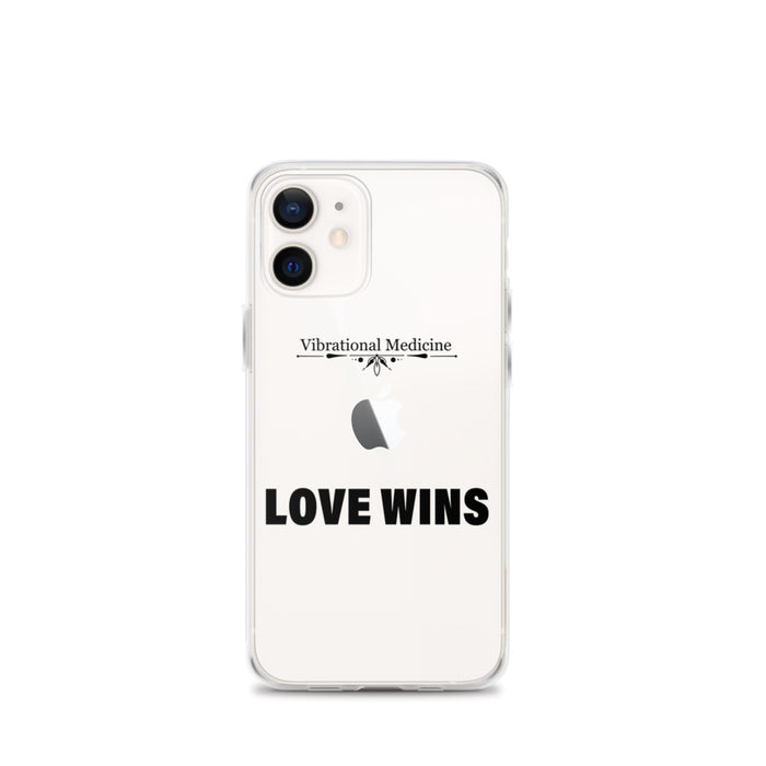 Love Wins iPhone 12 mini Case