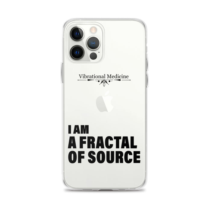 I Am A Fractal Of Source iPhone 12 Pro Max Case