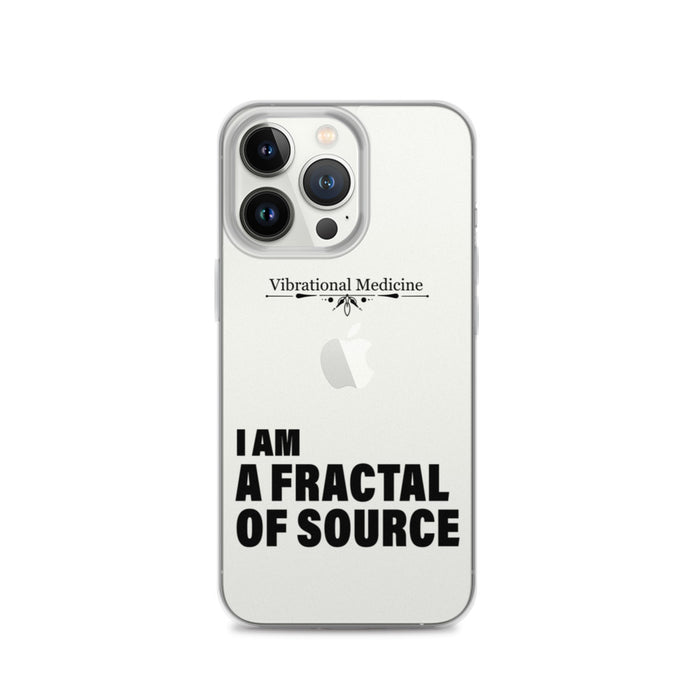 I Am A Fractal Of Source iPhone 13 Pro Case